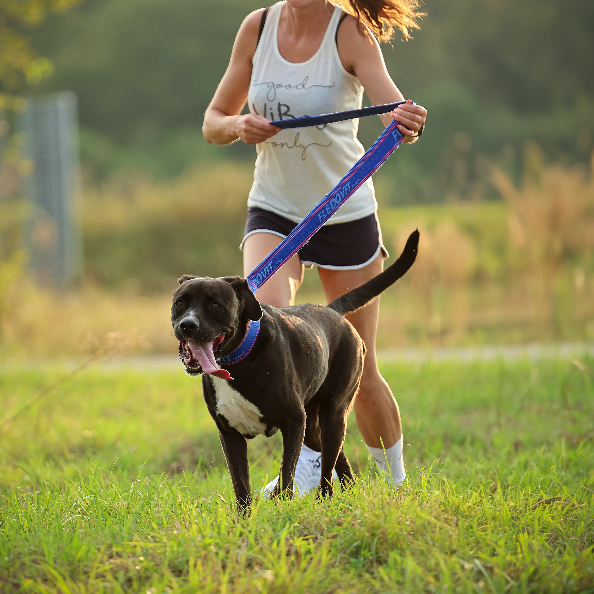 FLEXVIT Faces November Resist Band