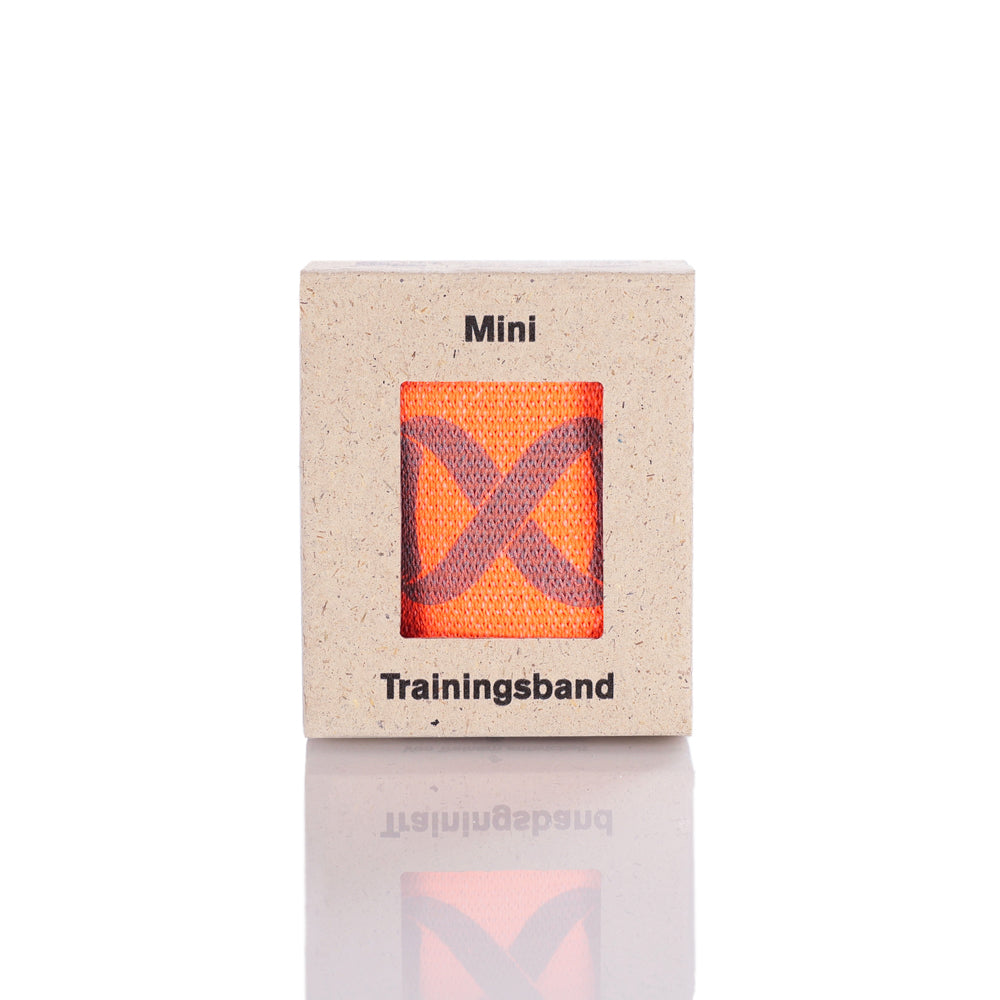 FLEXVIT Mini - core (Orange - 2/6) in der Retailverpackung