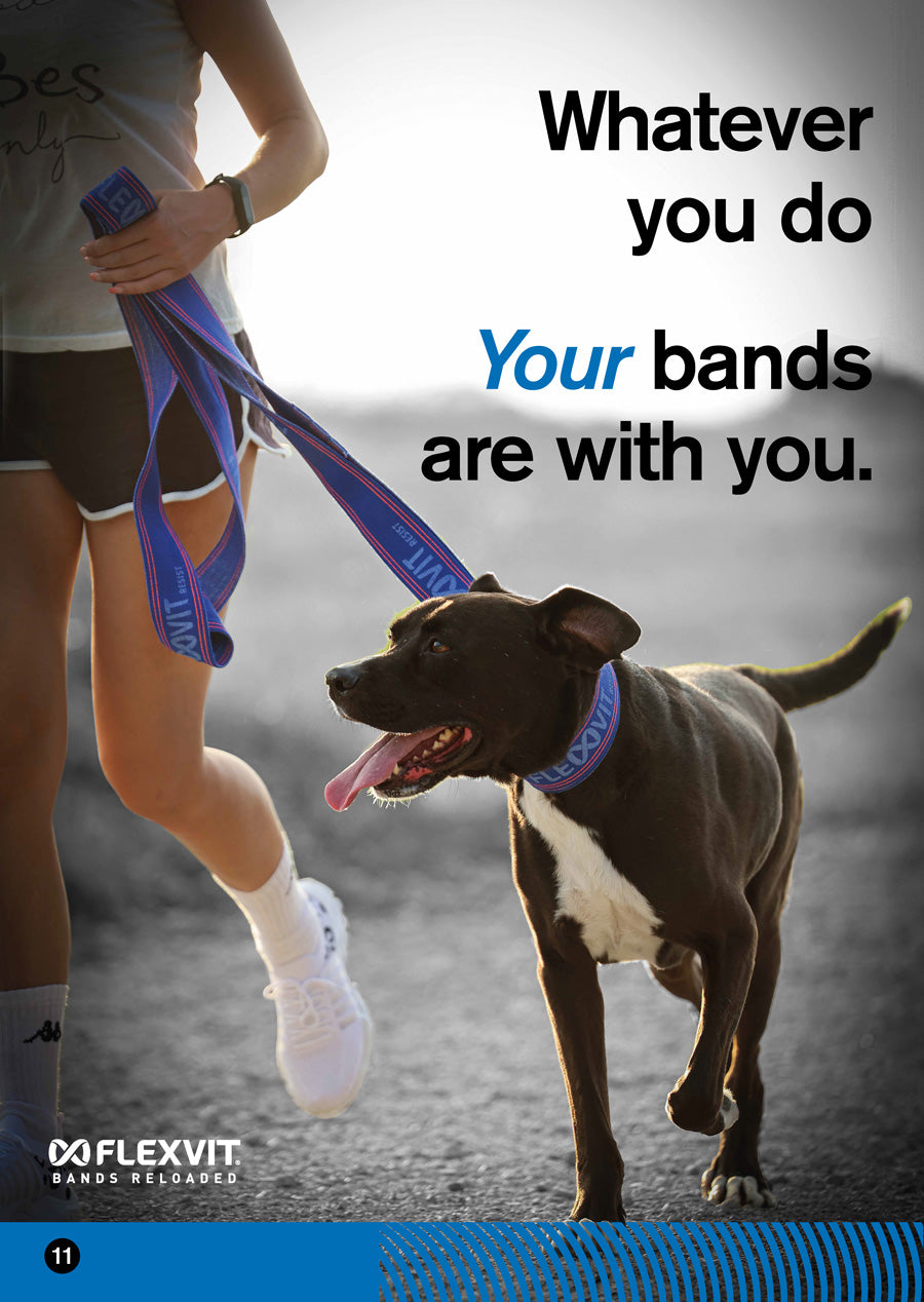 FLEXVIT-Faces-Hundeleine-Resist-November